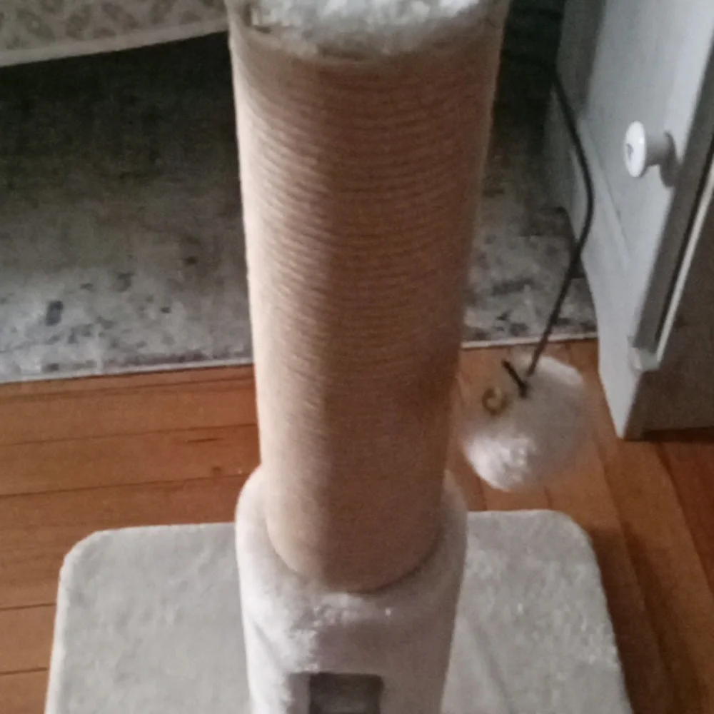 Cat toy